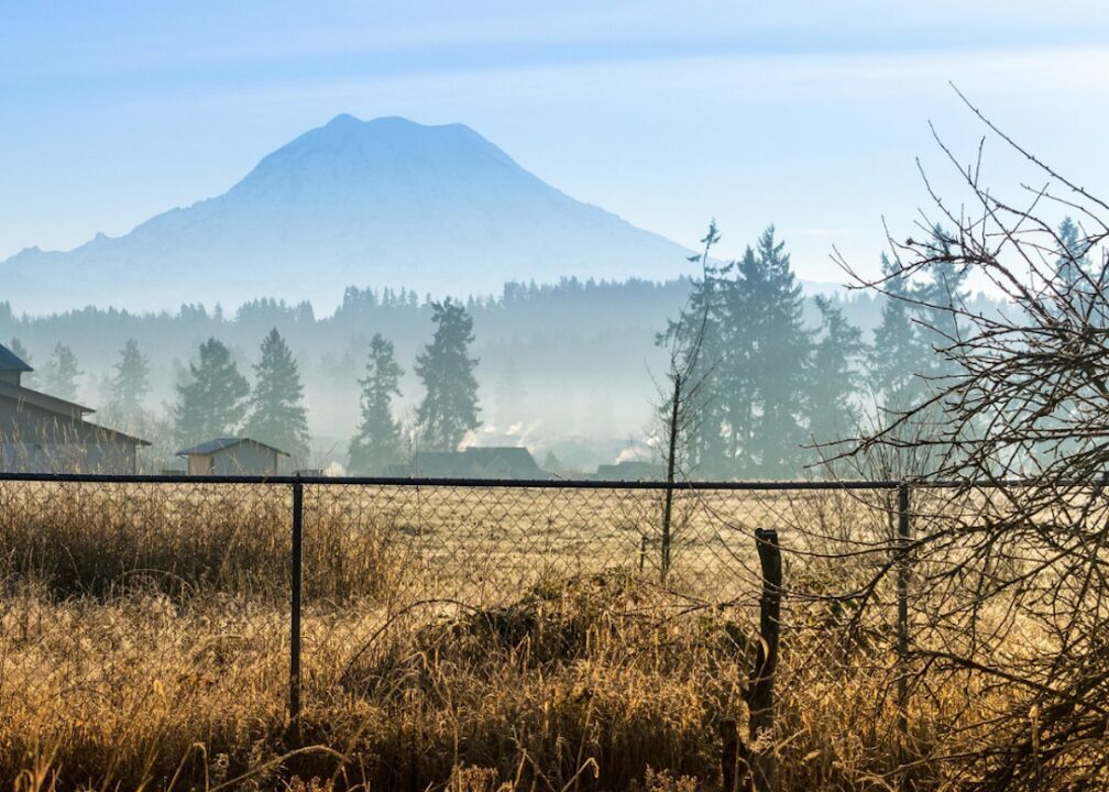 #20. Washington